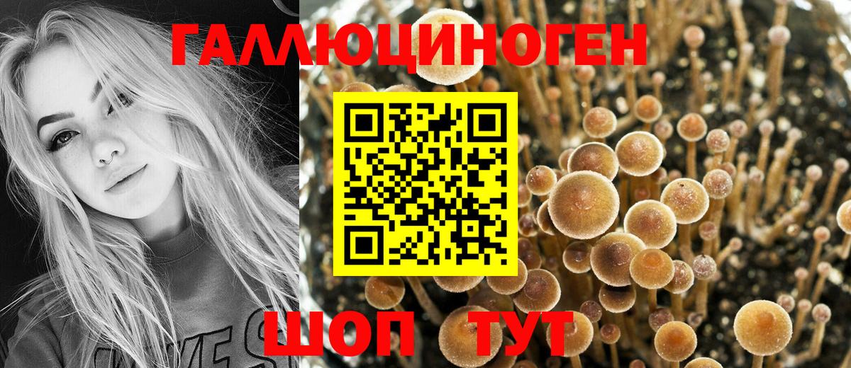 Псилоцибиновые грибы Cubensis  Вход с VPN  Жигулёвск 